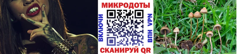 Псилоцибиновые грибы Magic Shrooms  Фрязино 